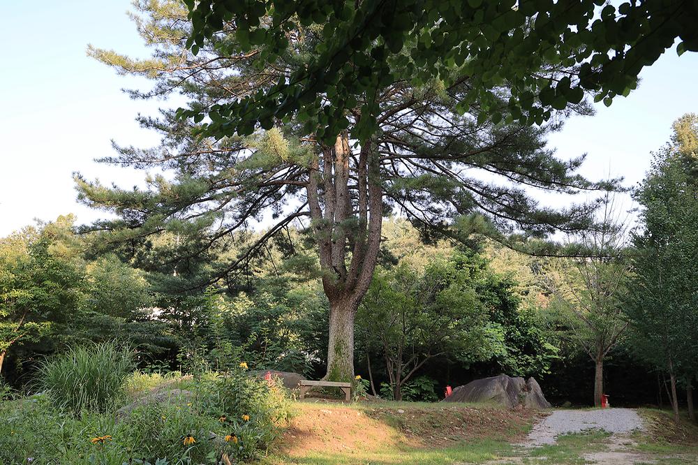 포천캠핑마을