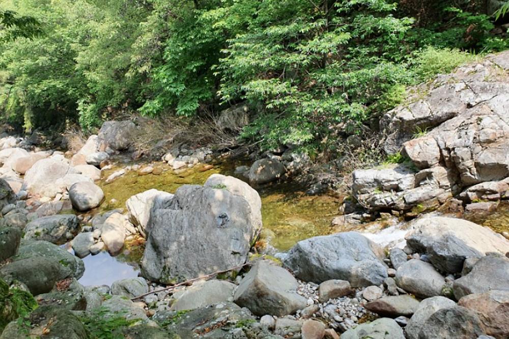 을전56오토캠핑장