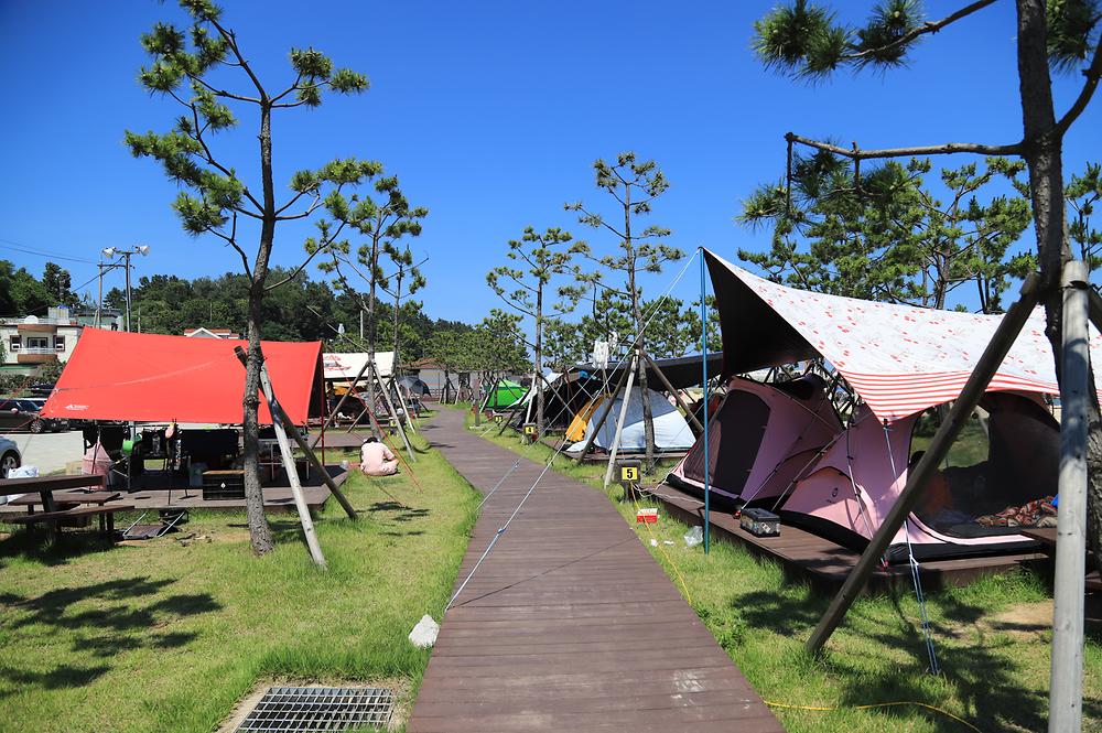 동산포 캠핑장