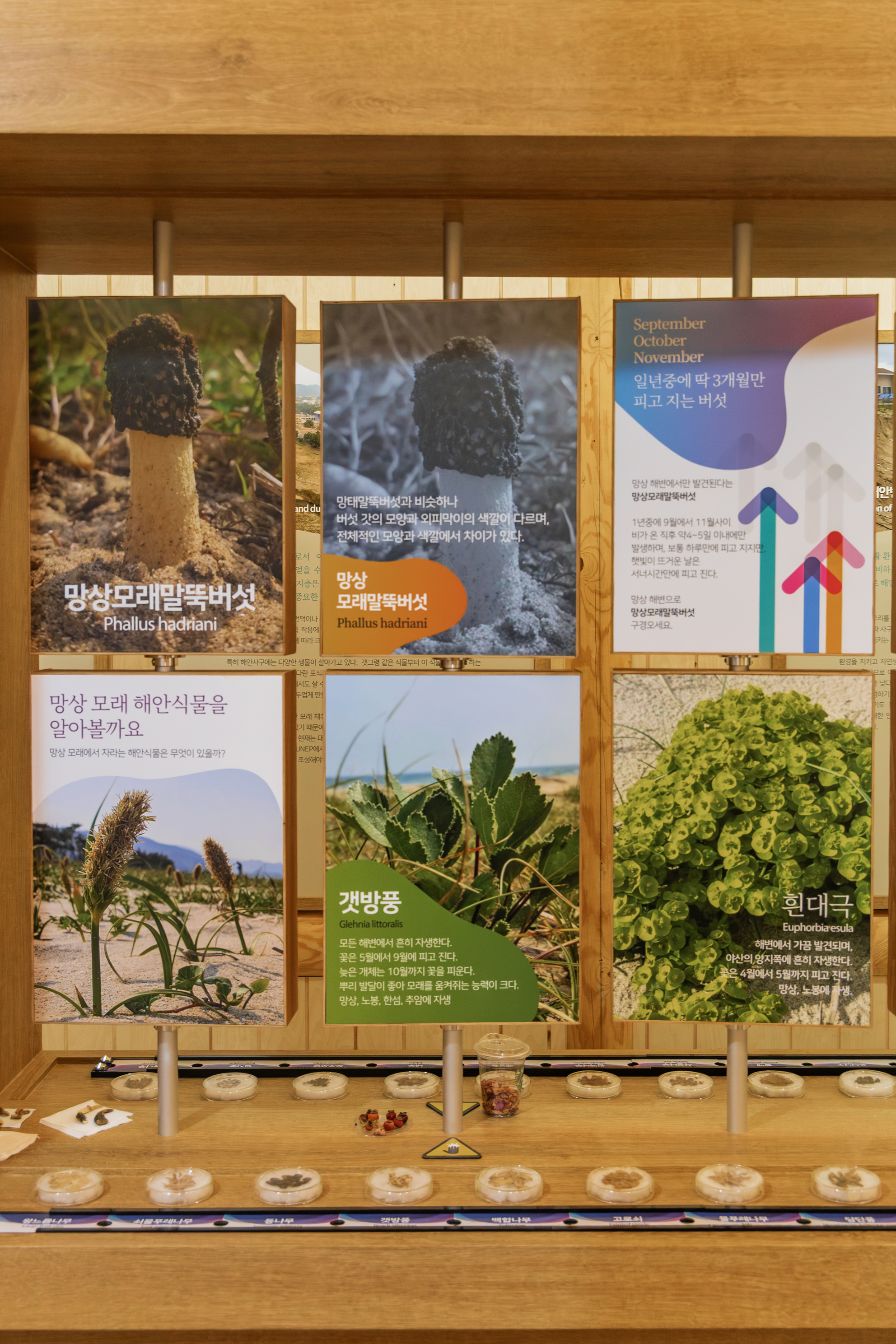 망상오토캠핑리조트 이미지