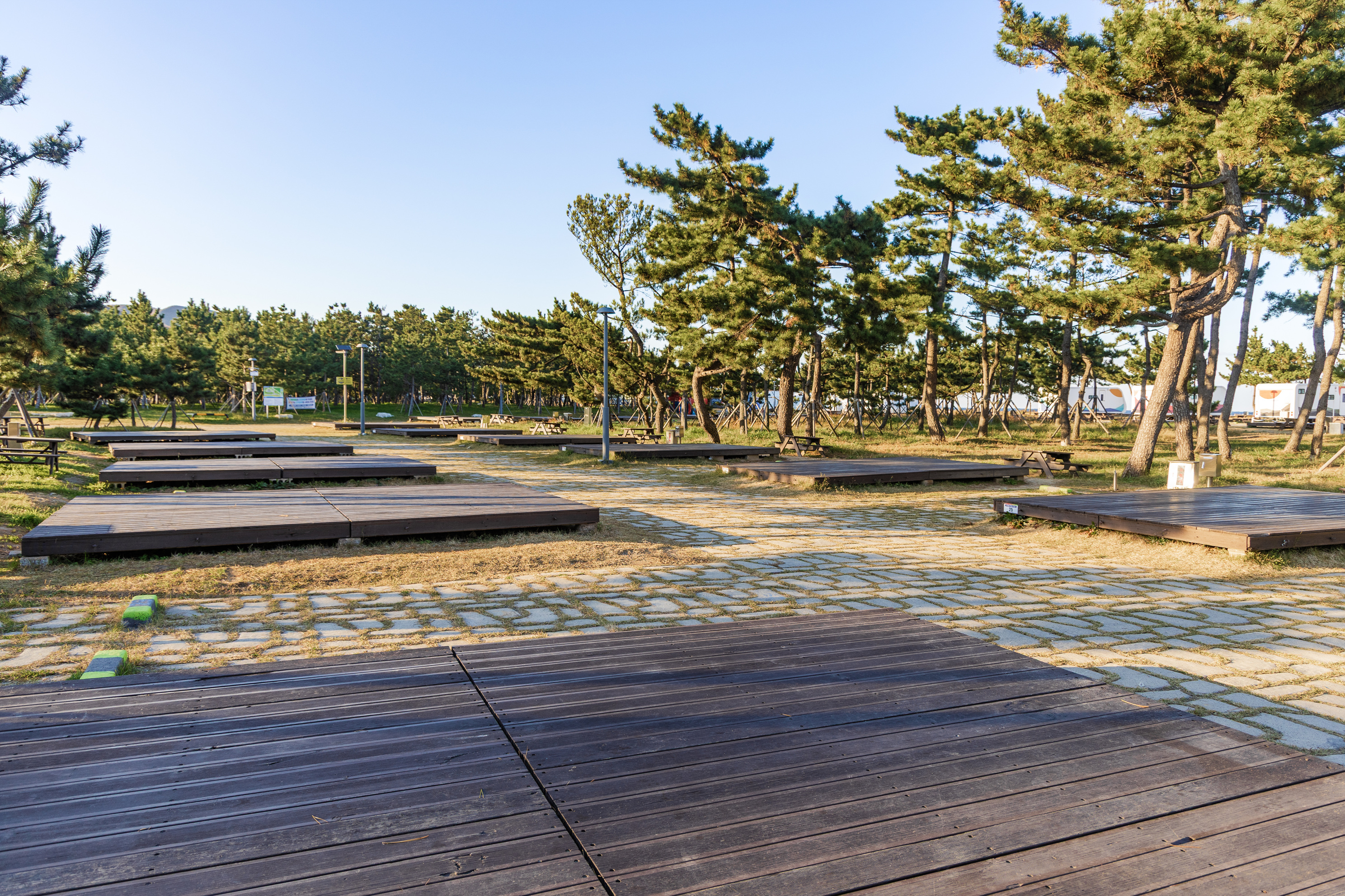 망상오토캠핑리조트 이미지