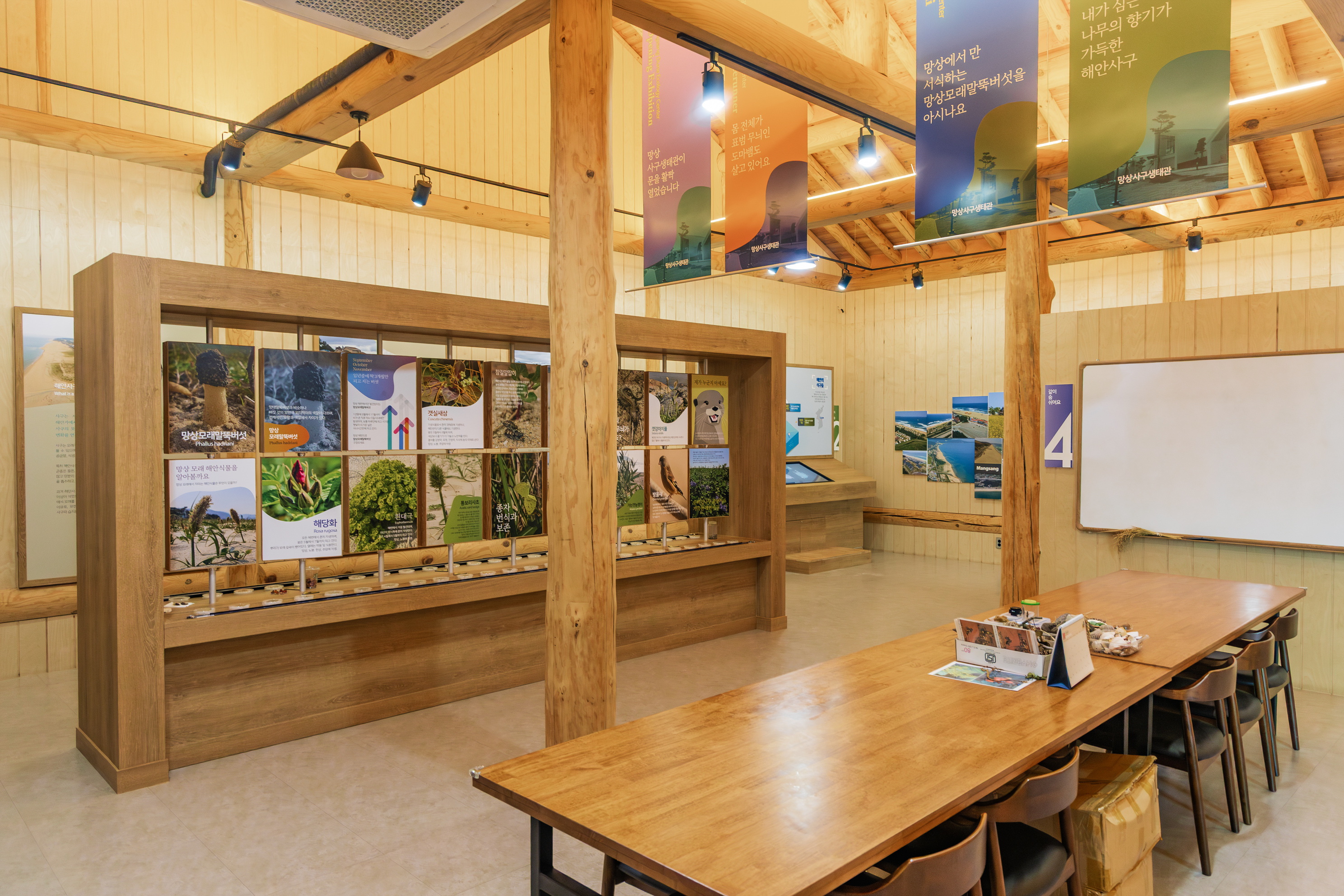 망상오토캠핑리조트 이미지