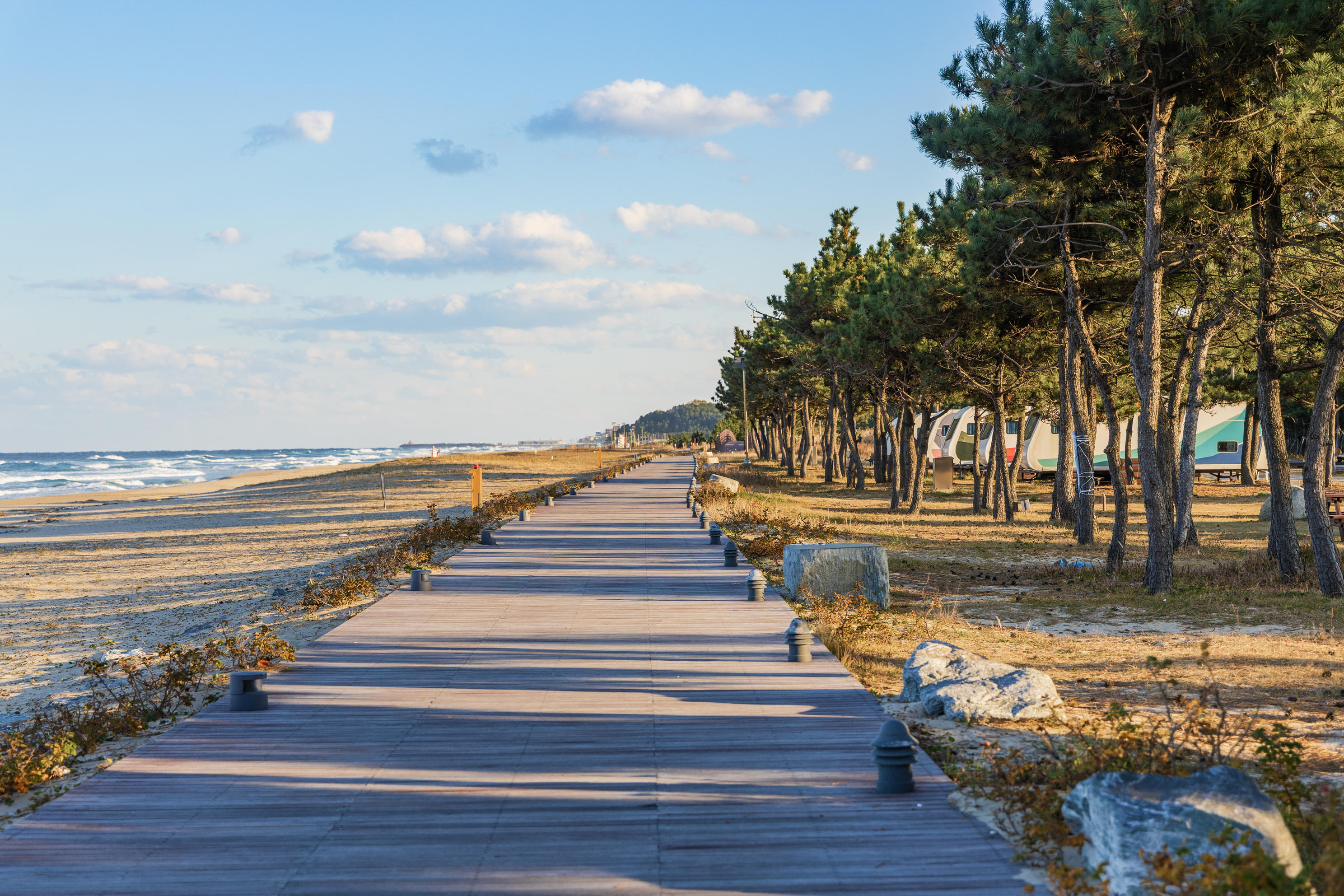 망상오토캠핑리조트 이미지