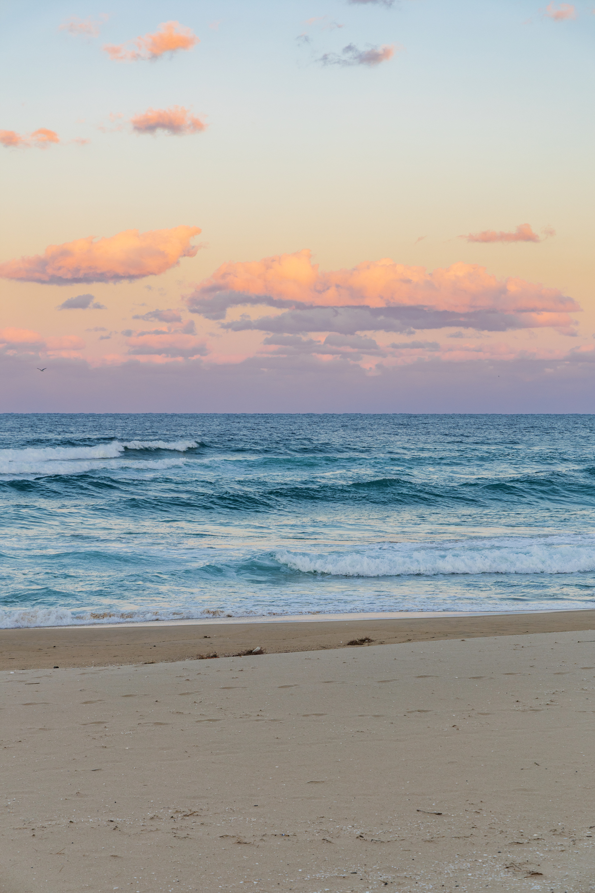 망상오토캠핑리조트 이미지