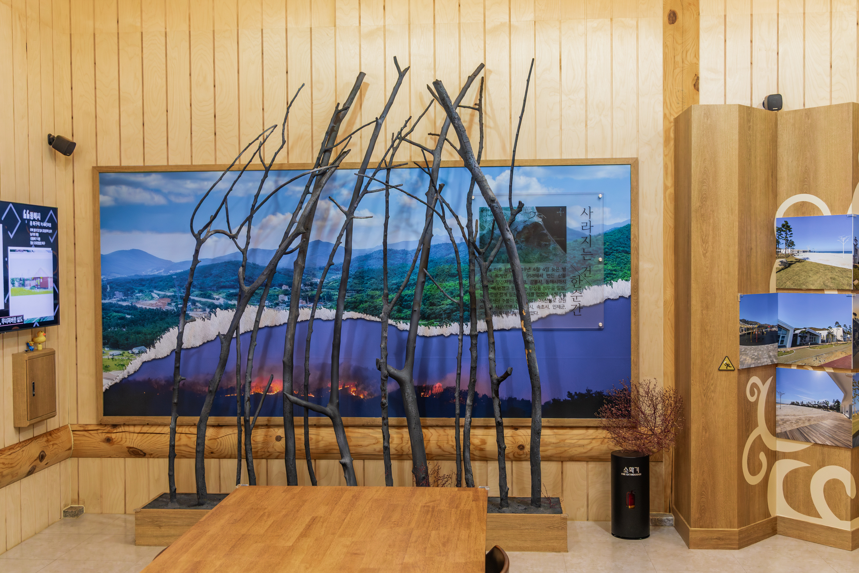 망상오토캠핑리조트 이미지