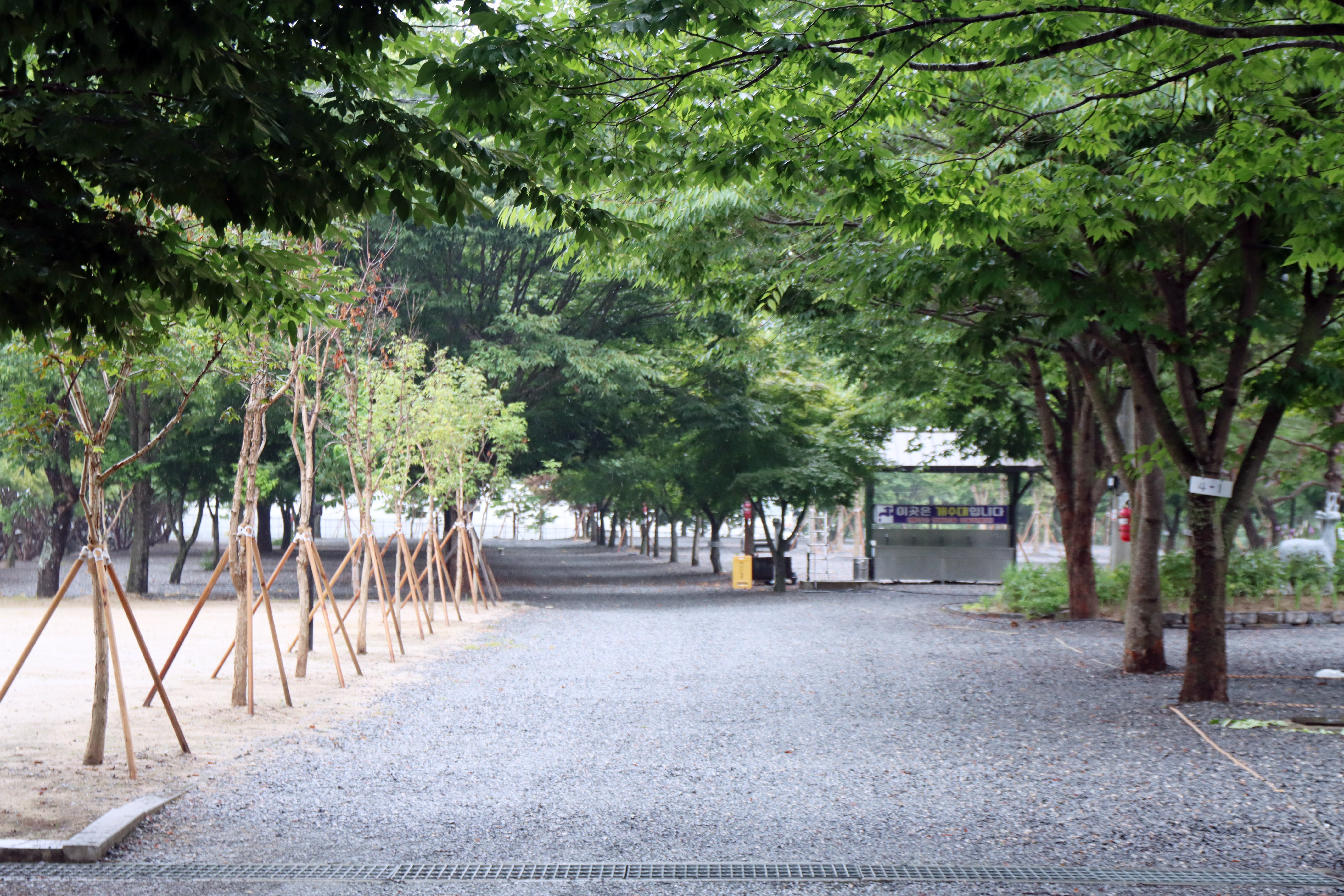 두산분교 캠핑장 17번째 이미지