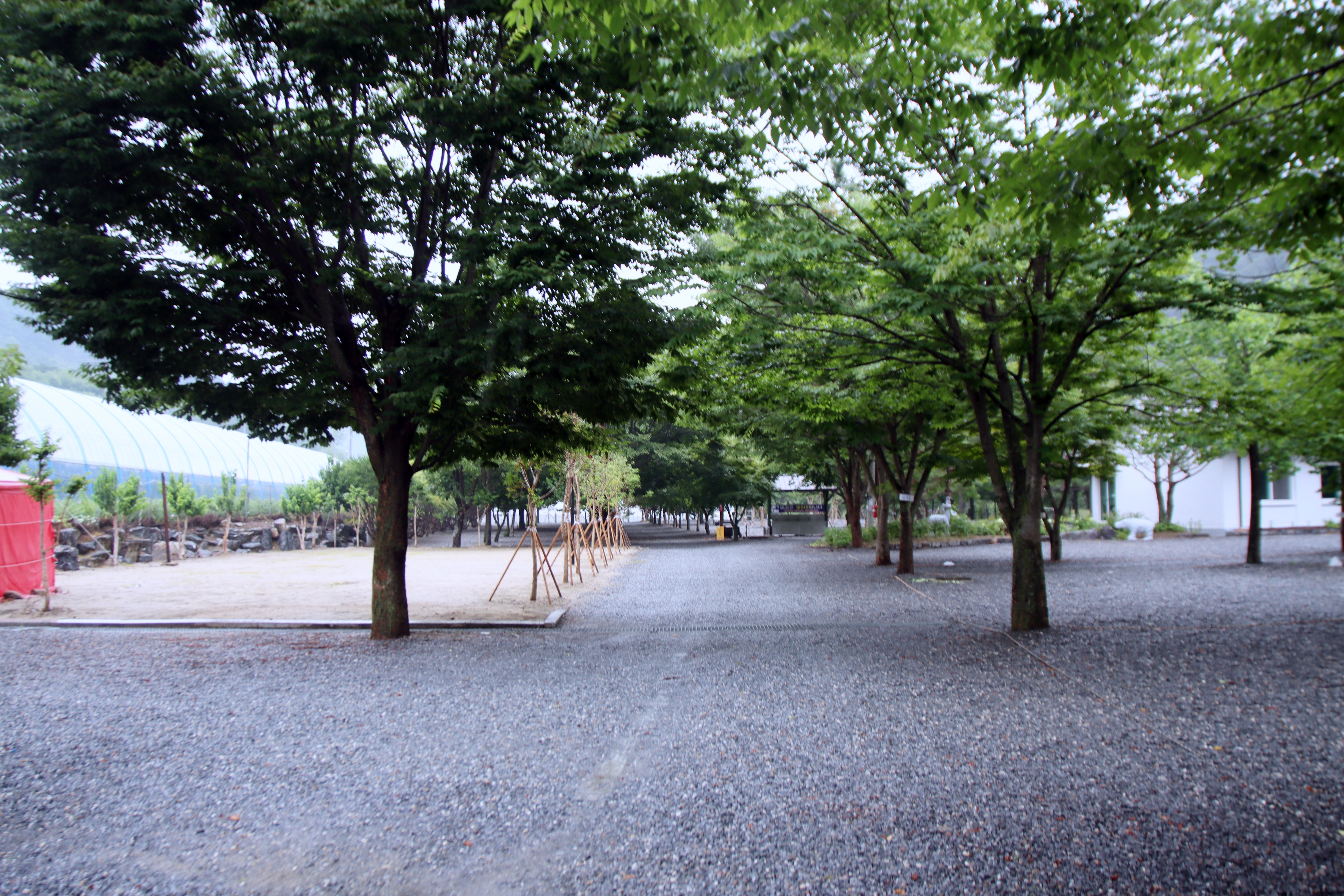 두산분교 캠핑장 28번째 이미지