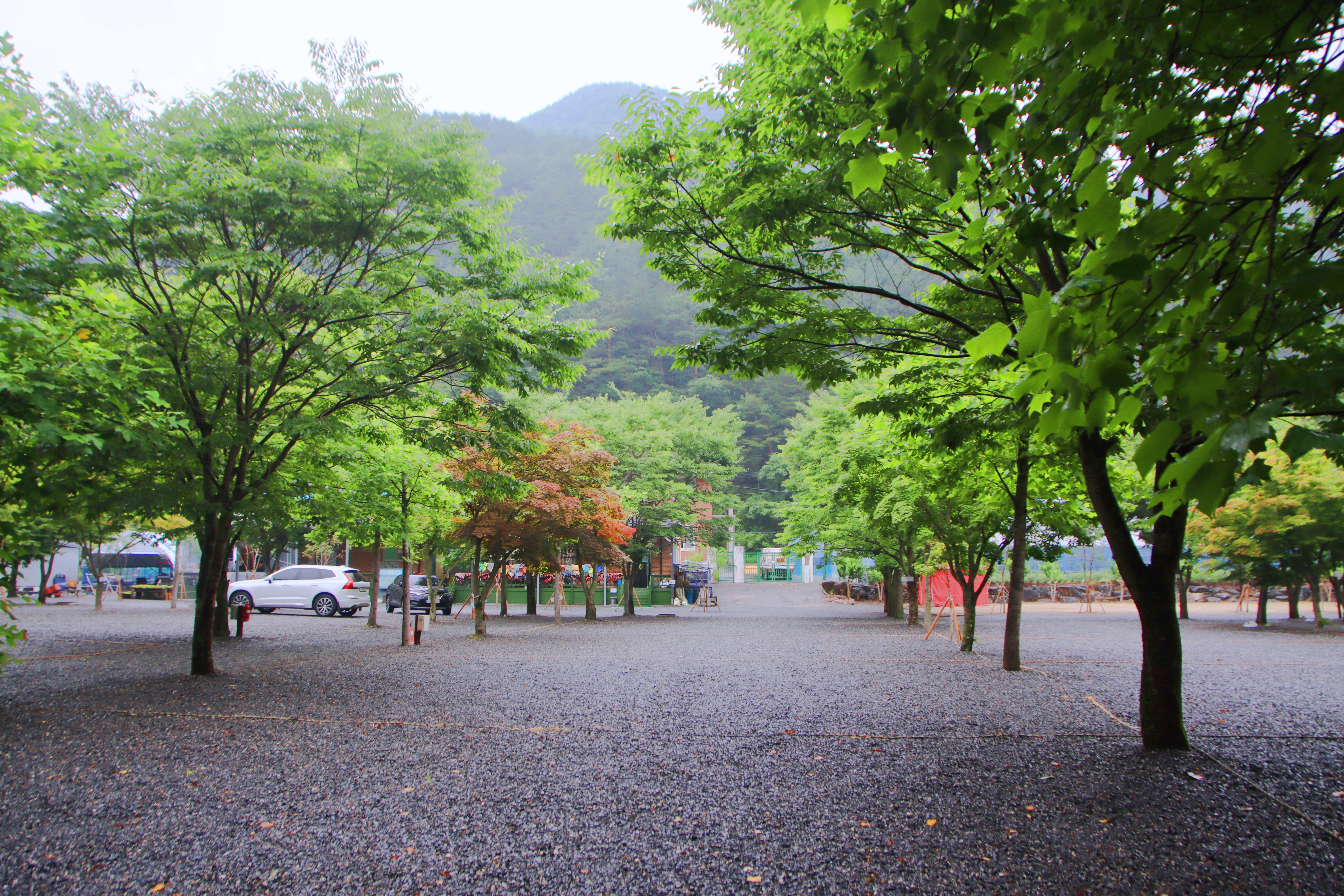 두산분교 캠핑장 23번째 이미지