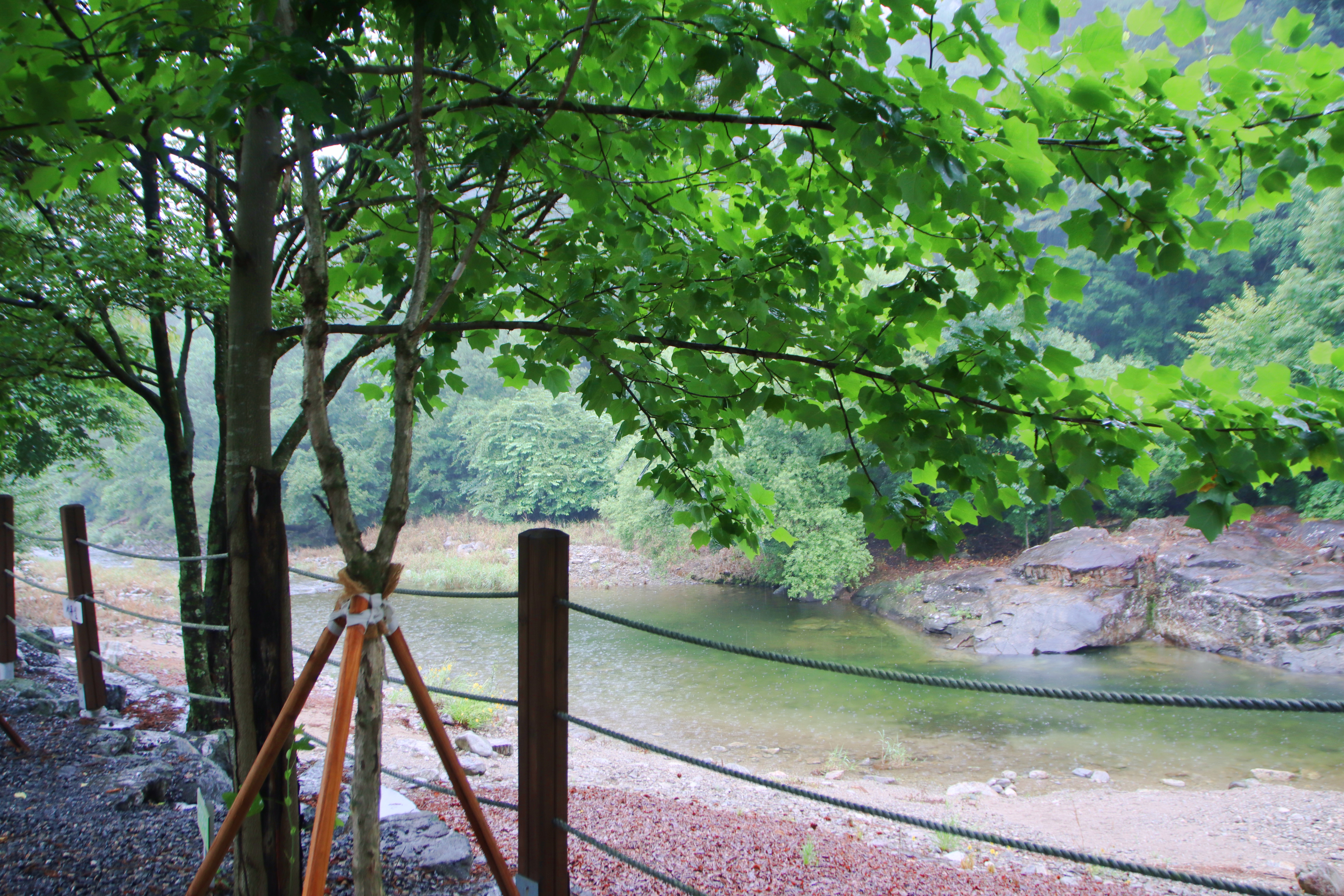 두산분교 캠핑장 9번째 이미지