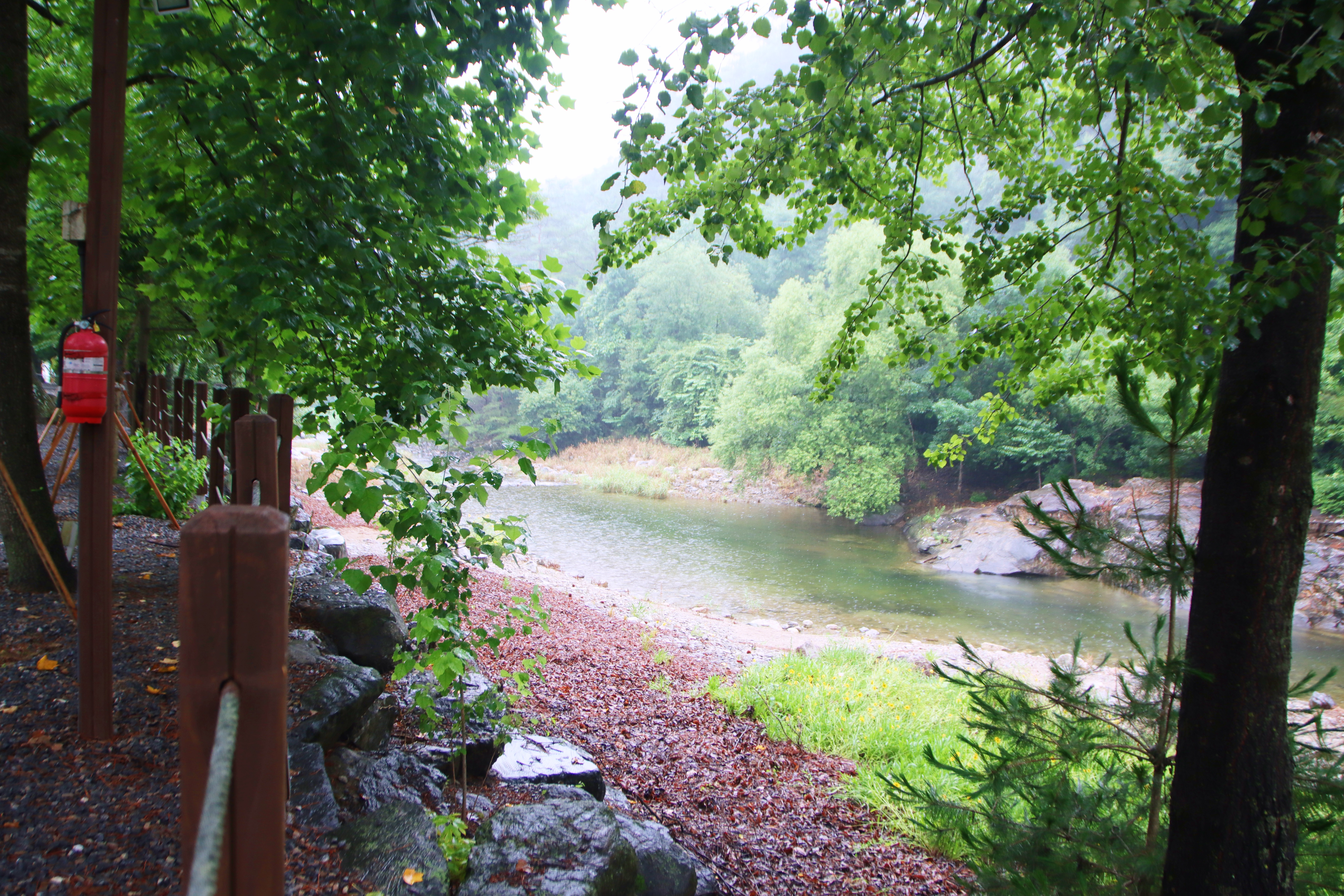 두산분교 캠핑장 5번째 이미지