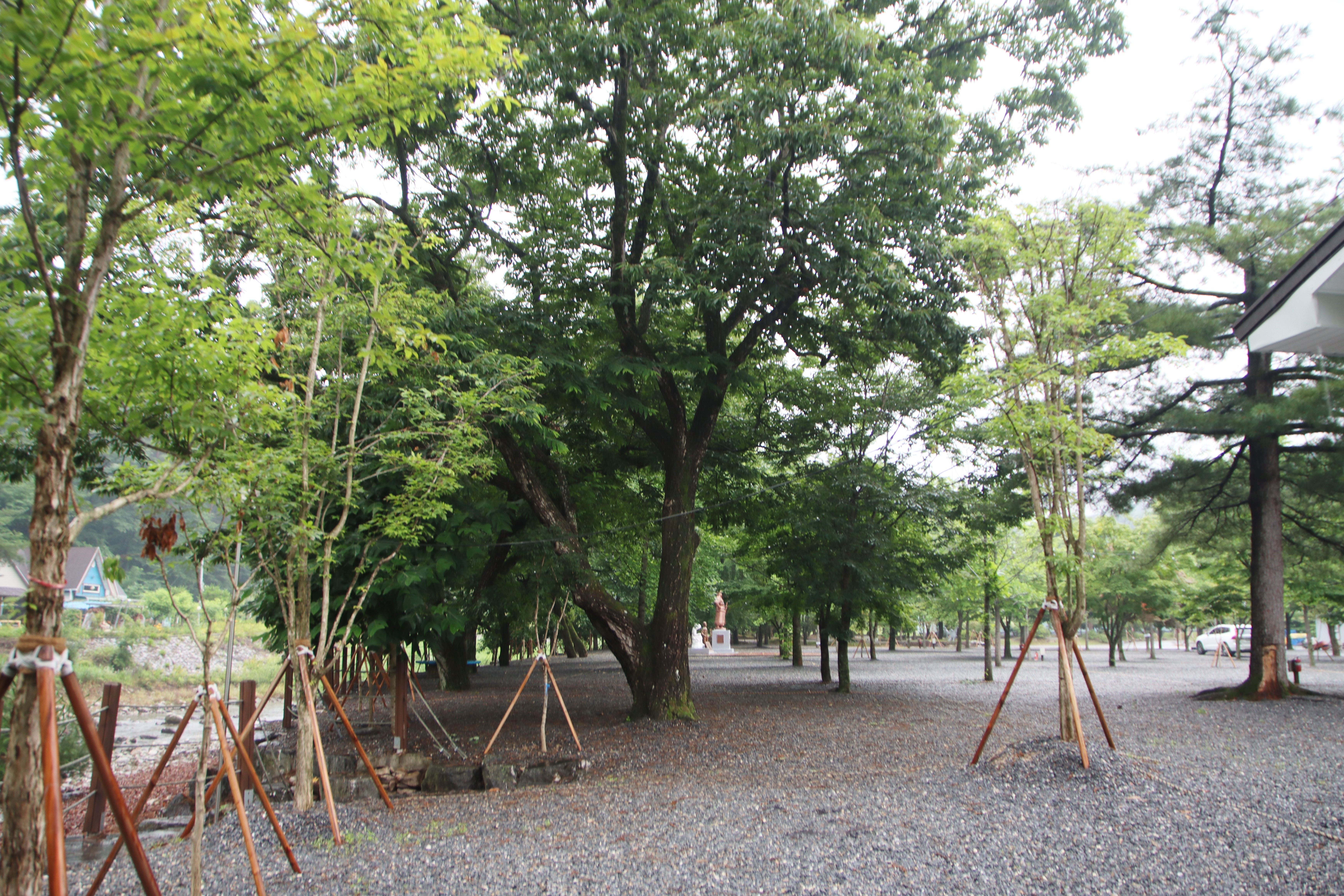 두산분교 캠핑장 11번째 이미지